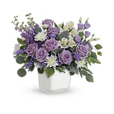 Honey Lavender Blooms